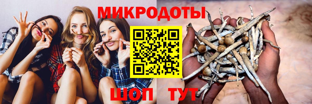 Артёмовский  Галлюциногенные грибы мицелий  Вход с VPN 